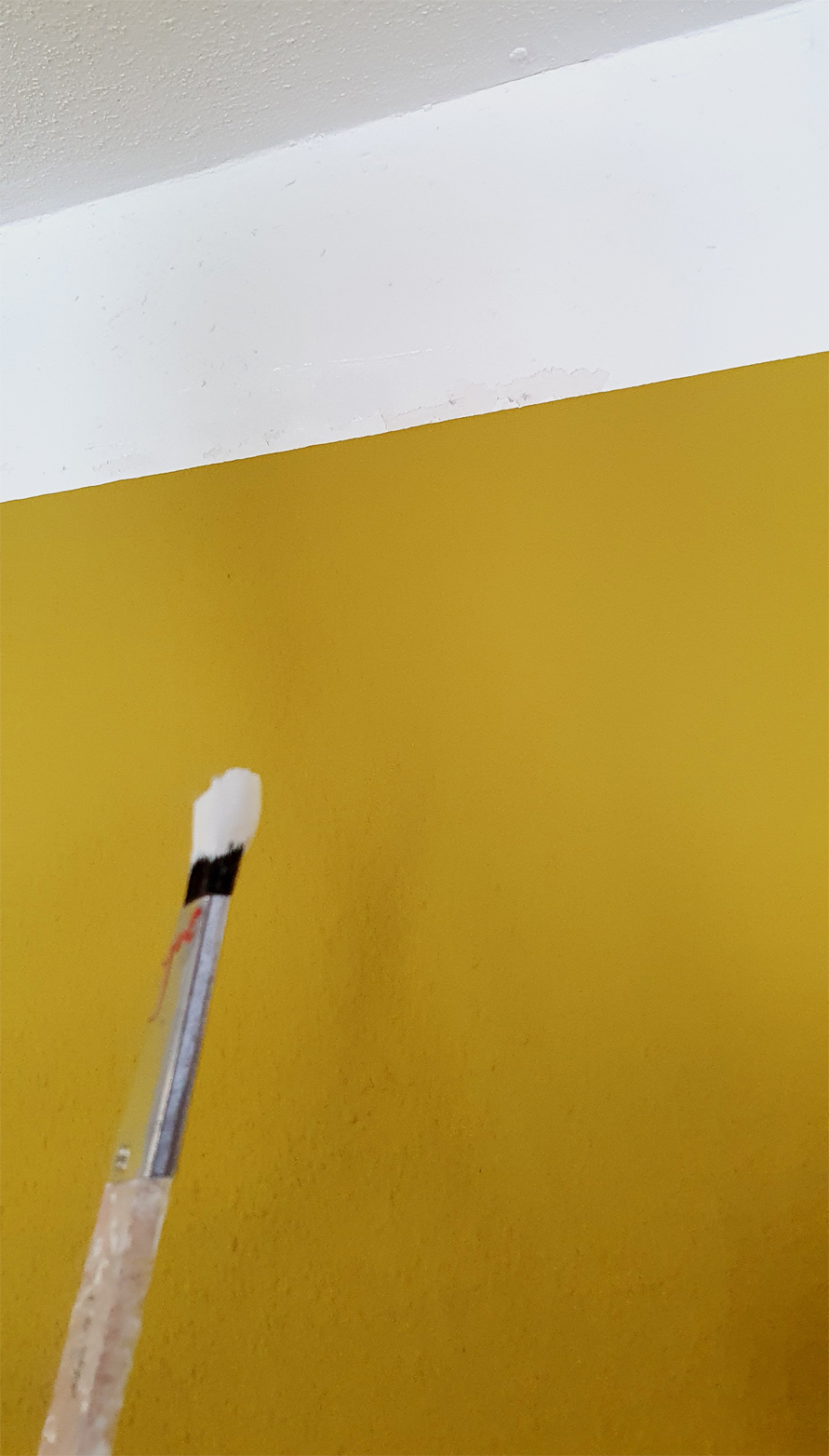 Pinsel vor Frisch gestrichener Wand
